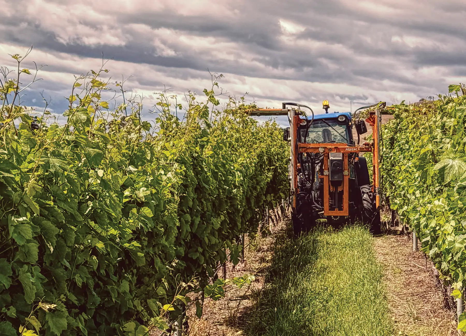 Vineyard Solutions Tasmania spraying operations.